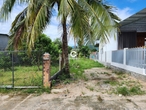 Bán lô đất mặt tiền đường bê tông tại Cam Tân , cách QL1A 1,5km - Diện tích 249,6m2