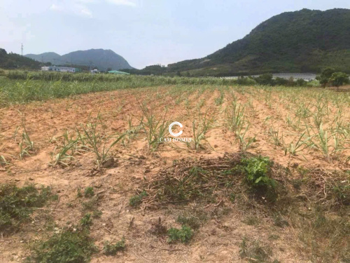 Gần 2 sào đất khu dân cư Cam An Bắc - Diện tích...