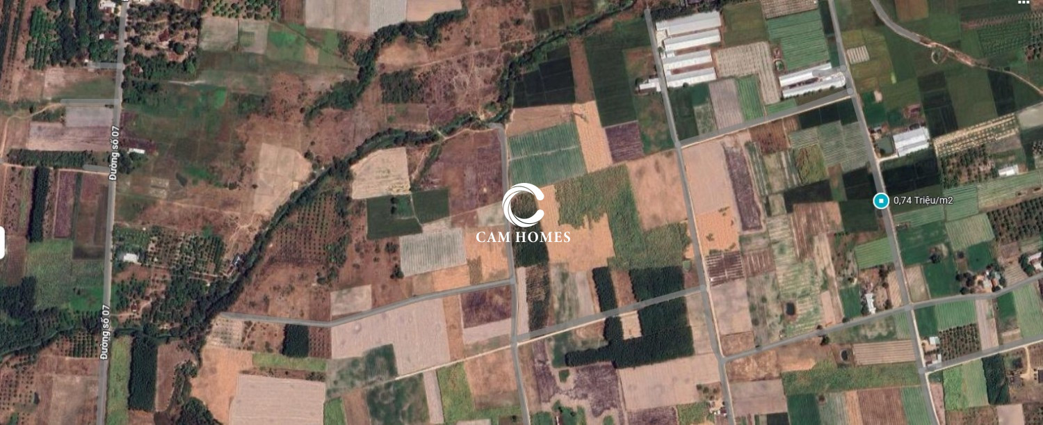 Bán đất sào thôn Quảng Hòa, Cam Thành Nam - Diện tích 4134m2