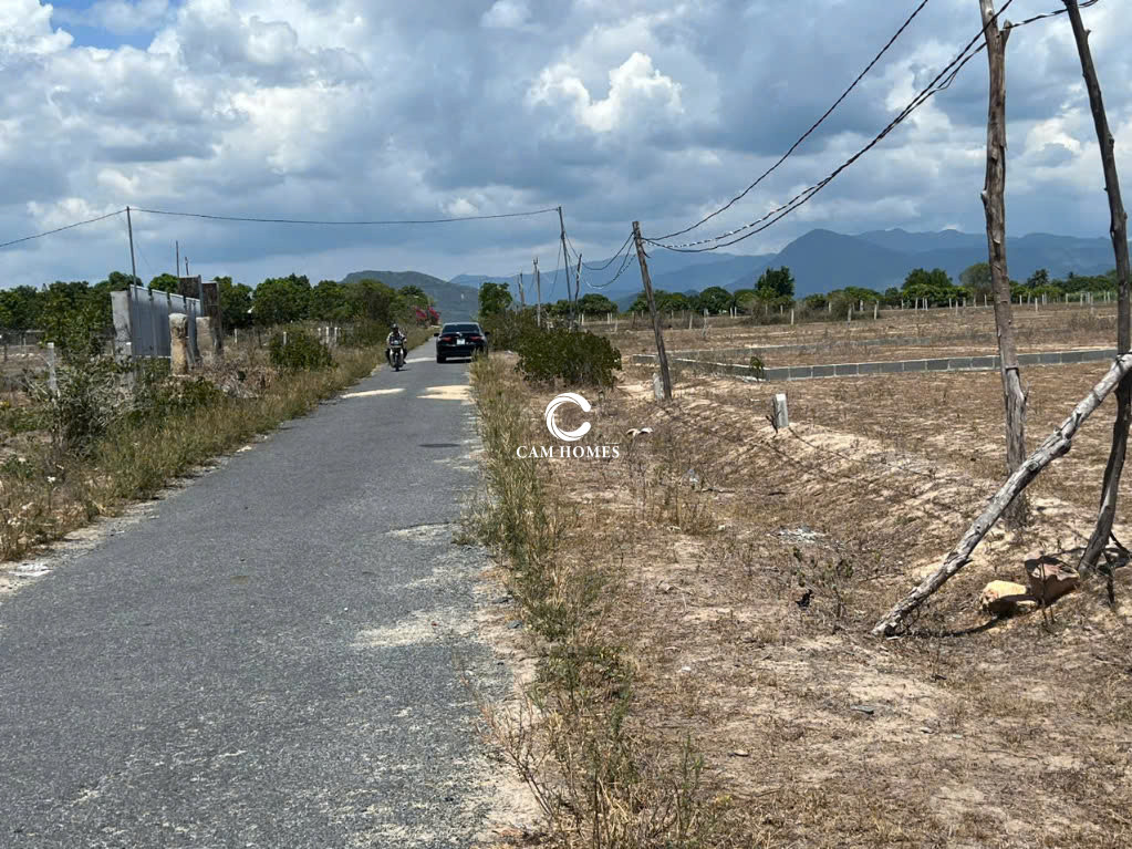 Bán đất mặt tiền đường nhựa , cách đường Nguyến Công Trứ 370m - Diện tích 362,5m2
